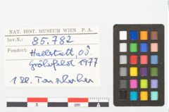 Foto von Keramikgefäß (NHMW-PRAE-085782)